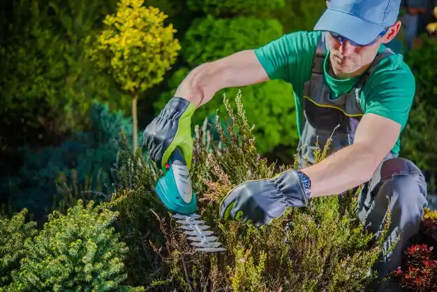 landscaping services Hardyville
